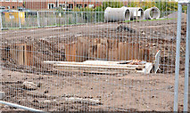 J3773 : Flood alleviation works, Orangefield Park, Belfast (6) by Albert Bridge