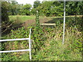 Overgrown stile