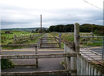 C9443 : The Runkerry Road Level Crossing on the Giant's Causeway and Bushmills Tramway by Eric Jones