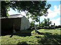 St Nicholas, Buckland Ripers: churchyard (c)