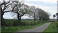 Minor road, Bloakhillhead