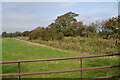 Middle Pool Stream near Toll House Bridge, Preston New Road, Freckleton