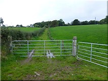 H4180 : Gates and a grassy lane, Gortinagin by Kenneth  Allen