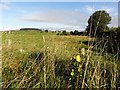 Byturn Townland