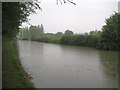 SP8828 : Grand Union Canal: Reach in Stoke Hammond by Nigel Cox