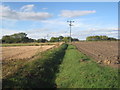 Field boundary near Eastrington