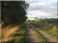 The track to Bloomhill Farm