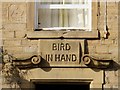 Bird In Hand (detail)