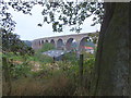 Railway viaduct from Tweedmouth park