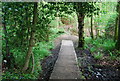 TQ5540 : Tunbridge Wells Circular Walk in Sproud's Wood by N Chadwick