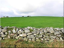 H3379 : Dry stone wall, Drumlegagh by Kenneth  Allen