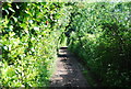 Tunbridge Wells Circular Walk entering Rusthall