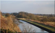 SJ7360 : Trent and Mersey Canal by N Chadwick
