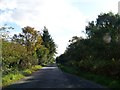 NM9136 : Road across Moss of Achnacree by Elliott Simpson