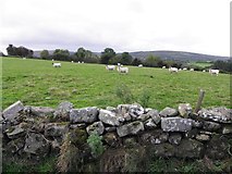 H3374 : Dry stone wall, Drumnaforbe by Kenneth  Allen