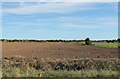 Flat farmland towards the coast