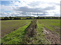 Pylons on farmland