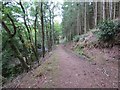 Llwybr Allt Caeau Bychan Mawr Footpath