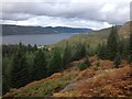 View to Loch Ness from Farigaig Forest