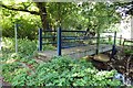 Footbridge over Gagle Brook