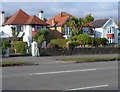 Houses and palm trees in Lower Sketty, Swansea