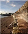 Ramp by the seawall, Dawlish