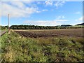 Potato field, South Gask