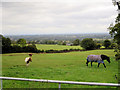 Pony paddock northeast of Nant-isaf Hall