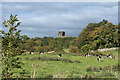 Farmland & Woodland near Dundonald