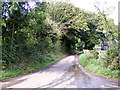 TM1041 : Saxon Lane, Mace Green by Geographer