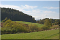 Fields and tree near Aundorach