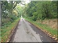 Road through Brahan Estate