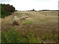 Big bales in fields by Aquhythie Wood