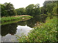 NJ7216 : Tranquil bend in the River Don near Kemnay by Maggie Cox