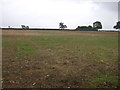 Farmland near Corby Glen