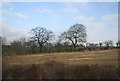 Farmland near Bate Mill