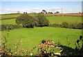 Farmland north of Landrake