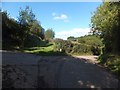 The start of an overgrown track at Mill Barton