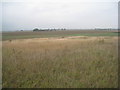 View towards Flixborough Grange