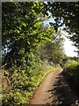 Lane near Penquite