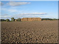 Straw stack near Eastrington