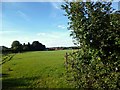 Towards Studley Green Farm