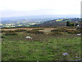 SO5975 : Clee Hill View by Gordon Griffiths