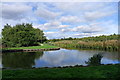 Basin on the Chesterfield Canal, Worksop