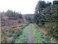 NR8768 : Kintyre Way at Sron Gharbh by John Ferguson