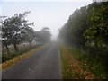 Bolaght Road, Aghakinmart