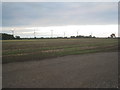 View towards Balkholme wind farm