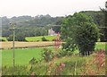 Looking towards Closeburn Castle