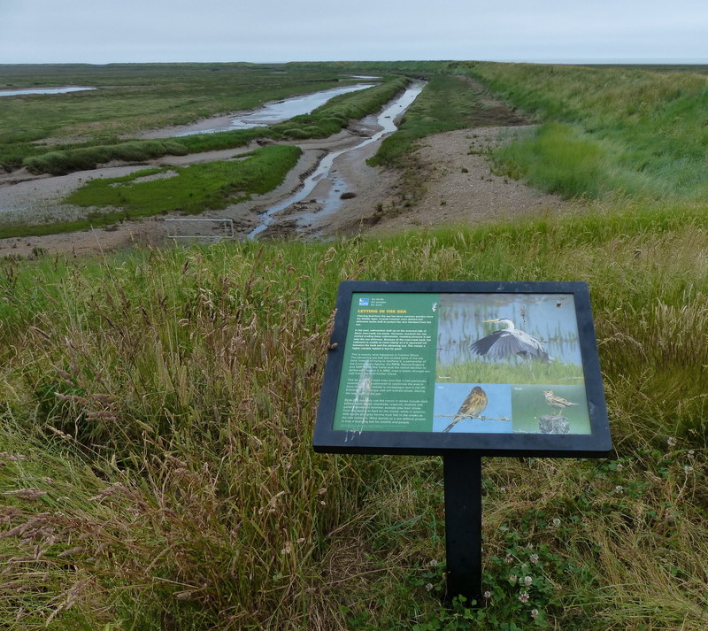 Information board at Freiston Shore... © Mat Fascione :: Geograph ...