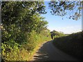 Lane to Tartendown Cross